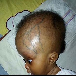 Meet your Posher, Troy